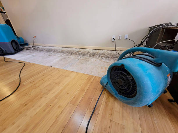 Professional Burst Pipe Water Damage technician working in Opa-locka, FL